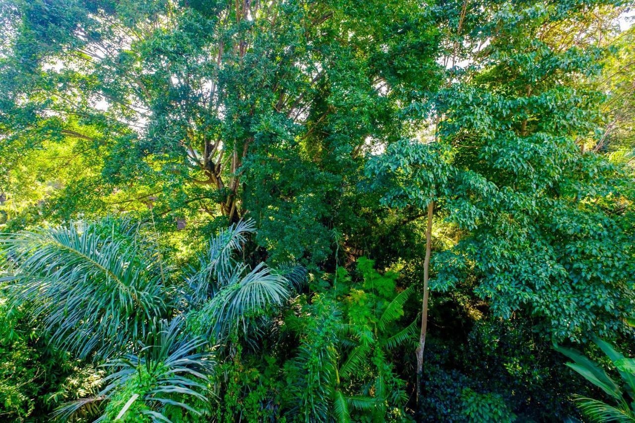 Bali Ubud Harmony Екстер'єр фото